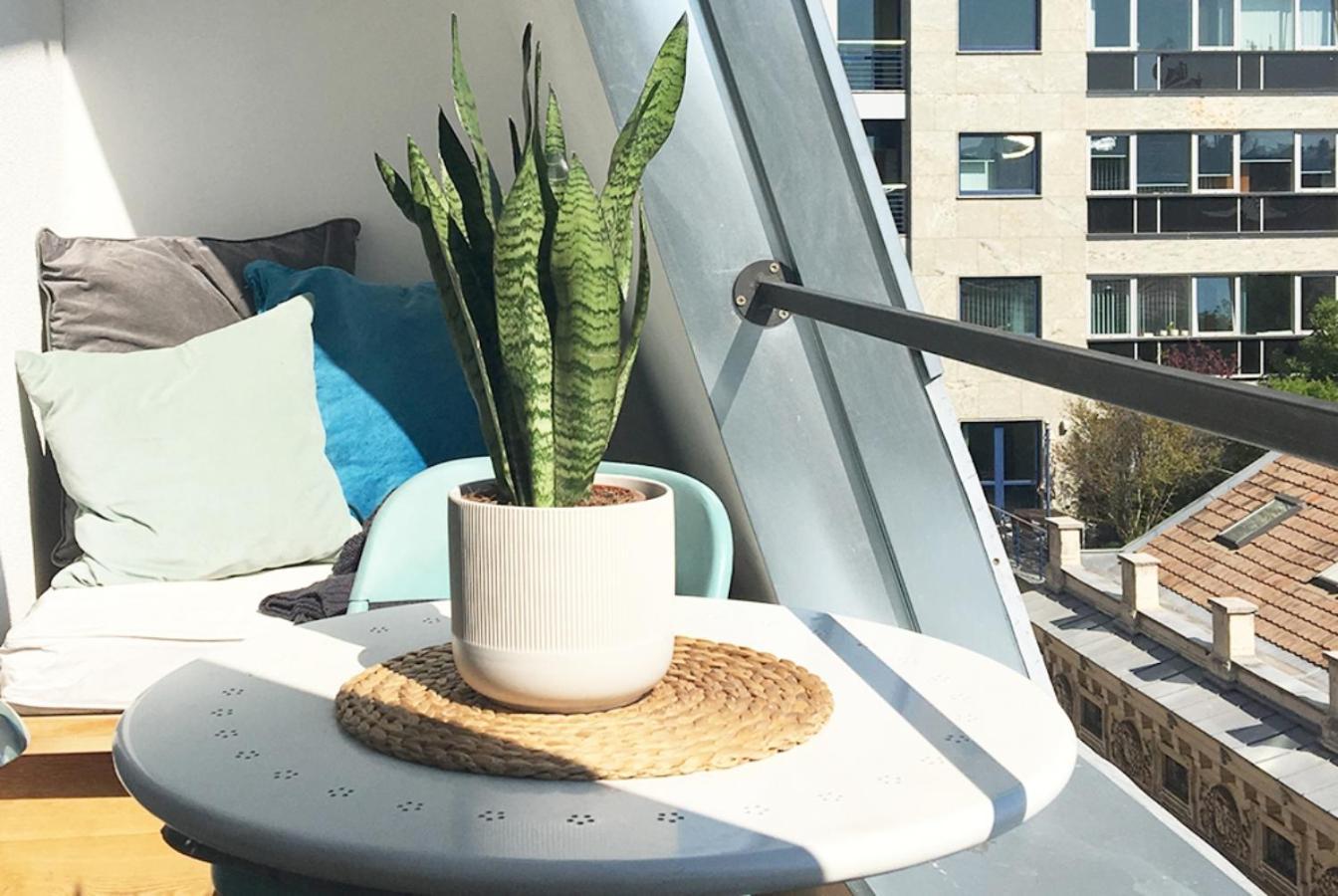 Apartment Rooftop View